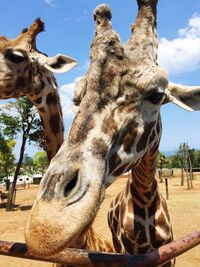 Statue of liberty against sky