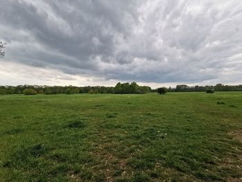 Scenic view of field against sky