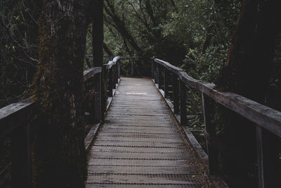 View of footbridge in forest