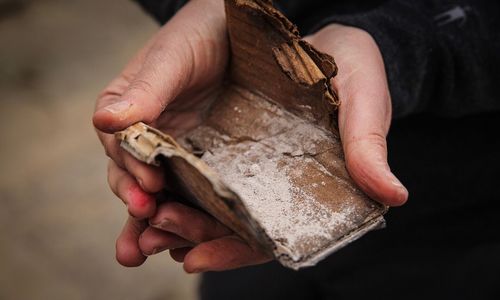 Close-up of hand holding powder on cardboard