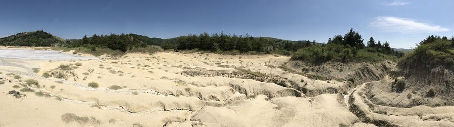 Panoramic shot of trees on land against sky