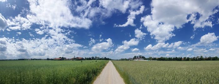 Panoramic view of agricultural field against sky