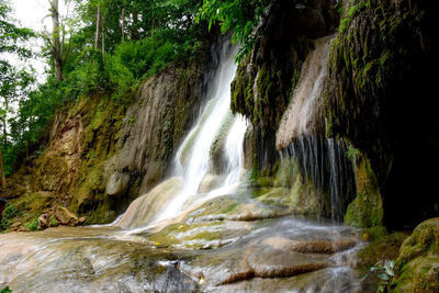 Scenic view of waterfall in forest