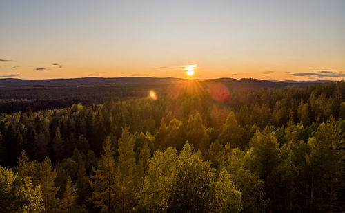 Scenic view of forest against sky during sunset