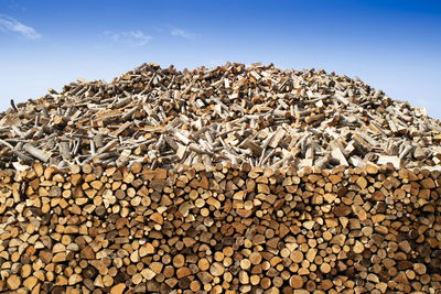 Photographic documentation of a large pile of firewood in reserve for the winter