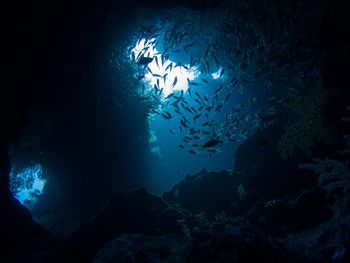 Scenic view of mountain at night