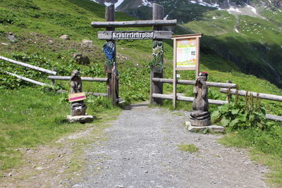 People sitting on road amidst trees