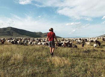Rear view of man walking on land by goats