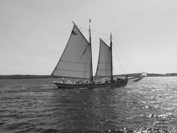 Sailboat sailing on sea against sky