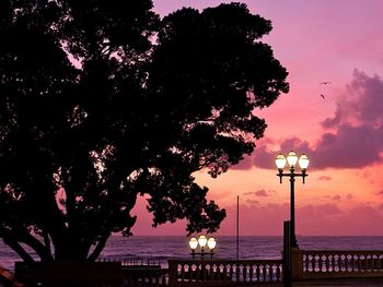 Scenic view of sea at sunset