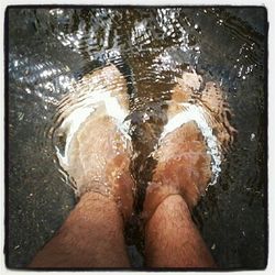 Low section of person standing in water