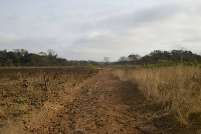 Scenic view of field against sky