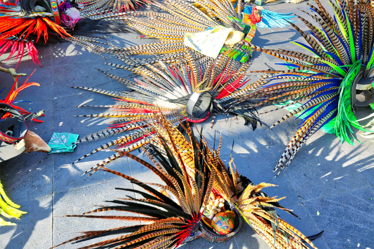 HIGH ANGLE VIEW OF MULTI COLORED FEATHERS IN MARKET