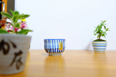 Close-up of potted plant on table