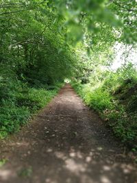 Surface level of footpath