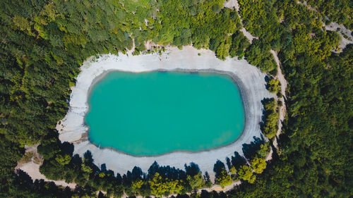 High angle view of sea and trees