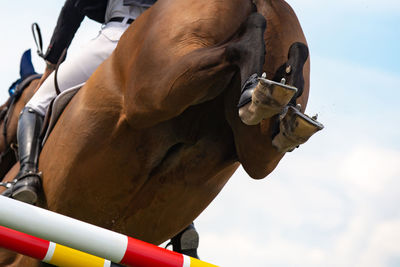 Horse jumping, equestrian sports, show jumping competition themed photograph.