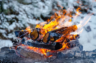 Bonfire flaring on a cold winter day in the forest