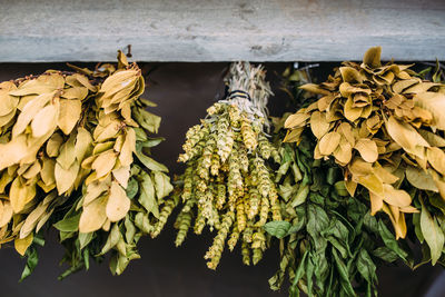 Bunches of dry medicinal plants. bay leaves, lemongrass are dried