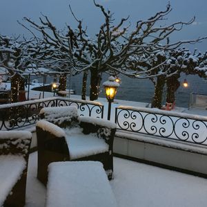 Illuminated street light by tree during winter at night