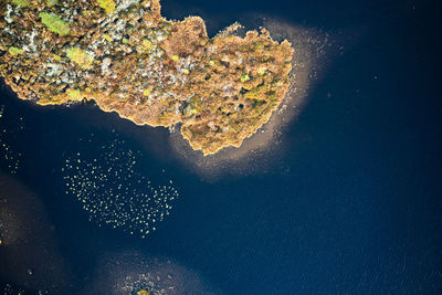 High angle view of sea shore at night