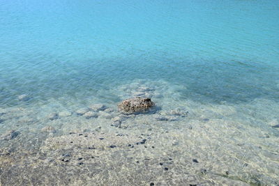 High angle view of a beach