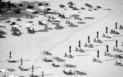 Flock of birds on sand at beach