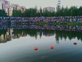 High angle view of various flowers floating on water