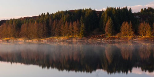 Scenic view of lake by trees against sky