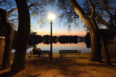 Silhouette of trees at sunset