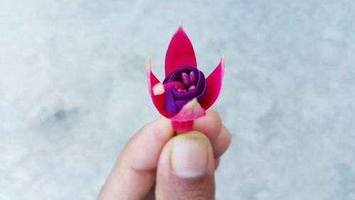 Close-up of hand holding red umbrella