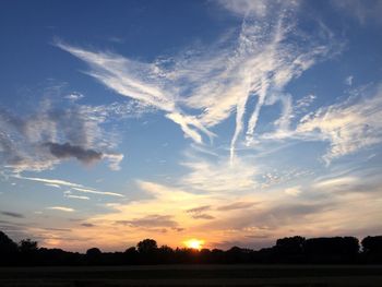 Silhouette trees on field against sky at sunset