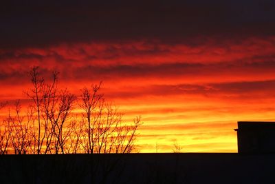 Silhouette trees against dramatic sky during sunset