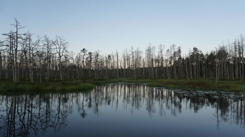 Scenic view of lake against clear sky