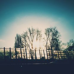 Bare trees against sky at sunset