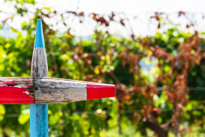 Close-up of red wooden fence against plants