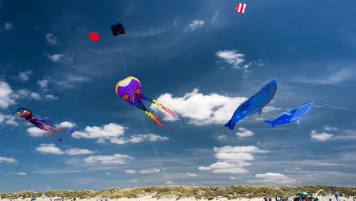 Giant kites at the beach