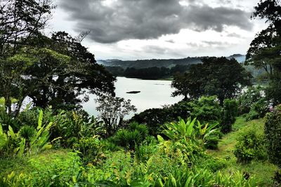 Scenic view of lake against cloudy sky