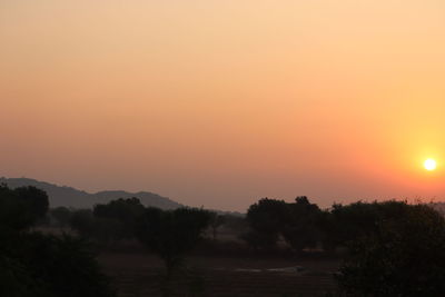 Scenic view of silhouette trees against orange sky