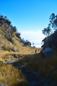 The peak area of the crater of mount sumbing, central java