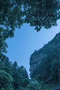 Low angle view of trees against sky