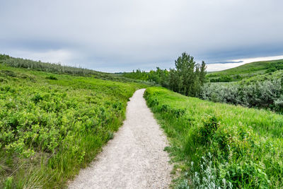 Dirt road amidst green field against sky