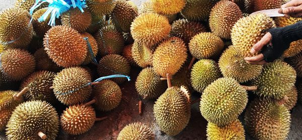 Cropped hand of market vendor with knife by fruits at stall