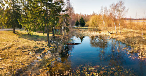 Scenic view of lake against trees in forest