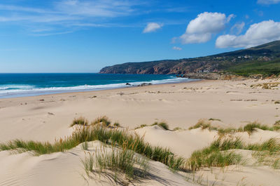 Scenic view of beach against sky