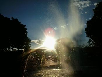 Sun shining through trees