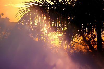 Silhouette trees against sky during sunset