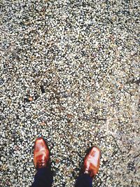 Low section of man wearing shoes standing on tiled floor