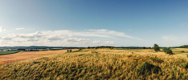 Scenic view of agricultural field against sky