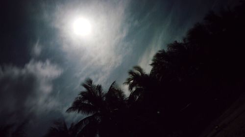 Low angle view of silhouette palm trees against sky